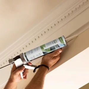 Gap Filling Acrylic Latex Caulking Sealant for Cornices and Door Frames