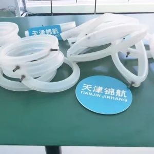 High Temp Resistant Inflatable Silicone Seal Medical Pharmacy Autoclave Door Sealing Component