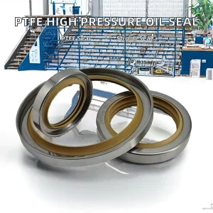 WS SEALS High Pressure Air Compressor EPDM Lip Seal for Case Oil Seal with Cutting Service